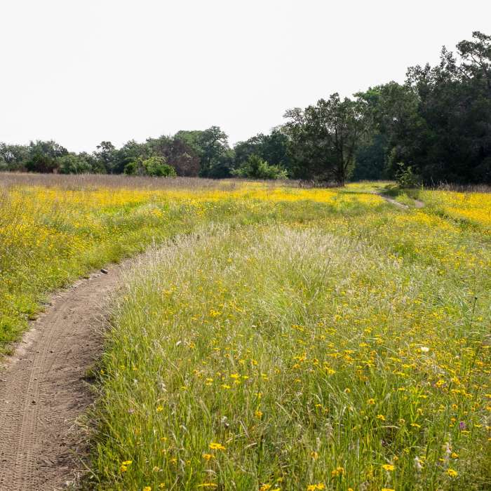 Near Slaughter Creek Trail