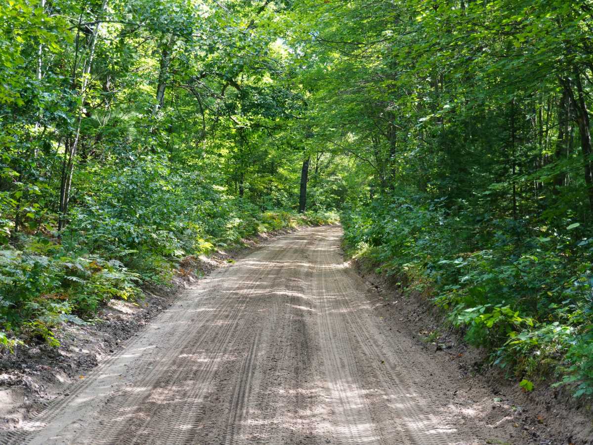 East Grass Lake Road photo 4