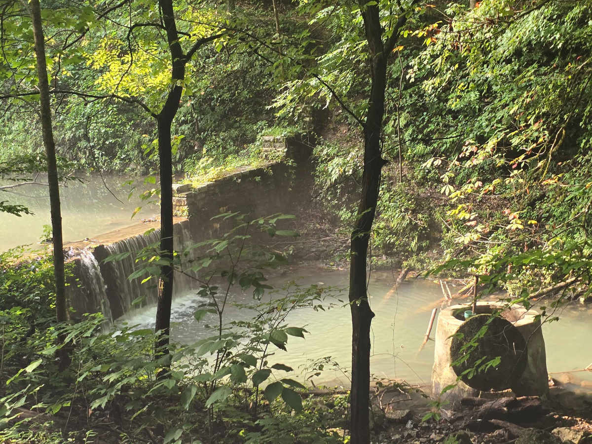 Lower Creek Road photo 2