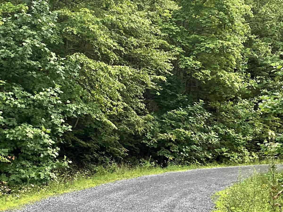 Top Road photo 5