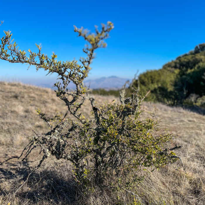 Near Educational Loop