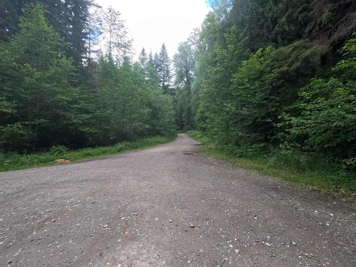 Decline - FS 2430 trail photo