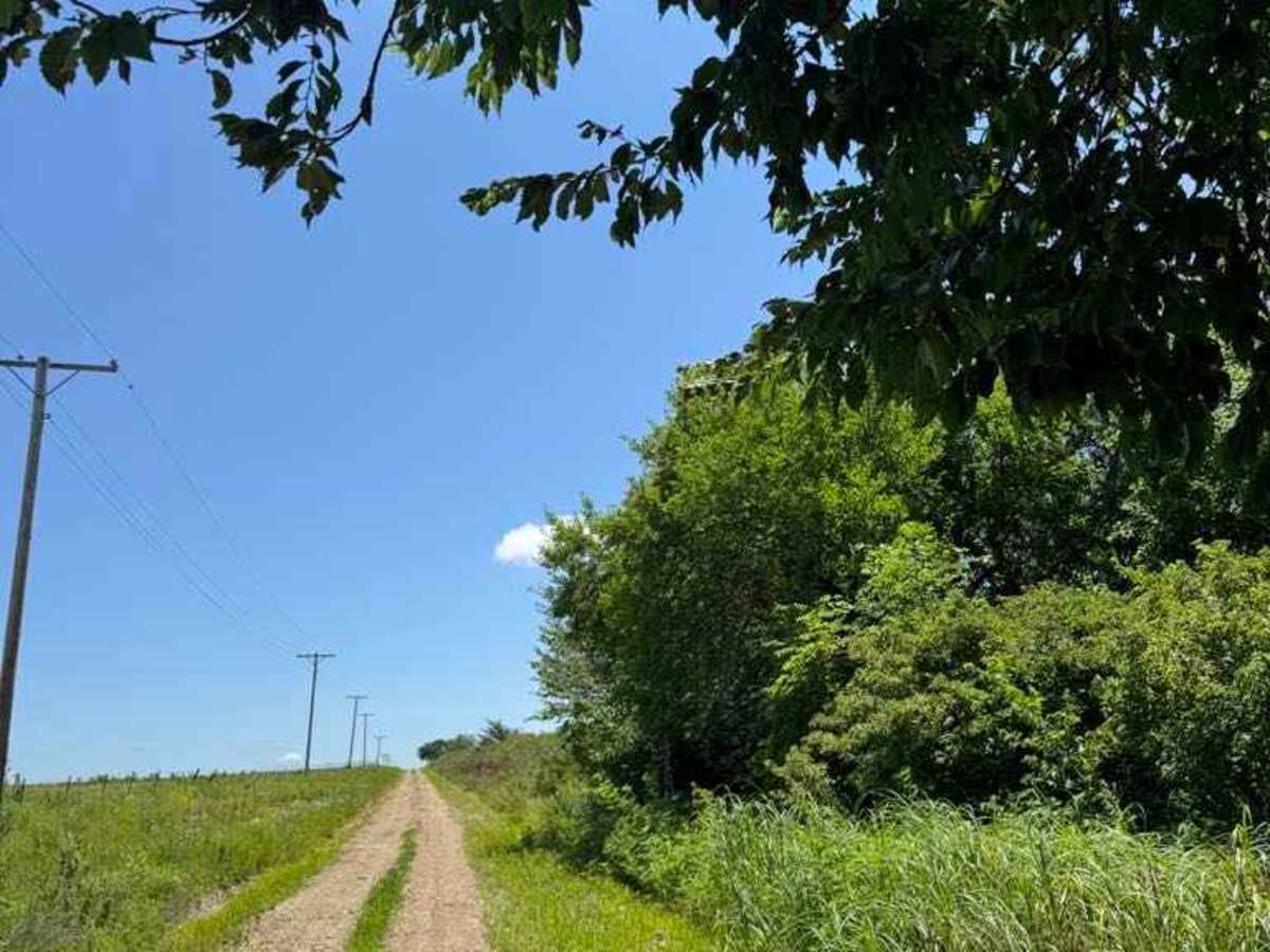 River Run trail photo