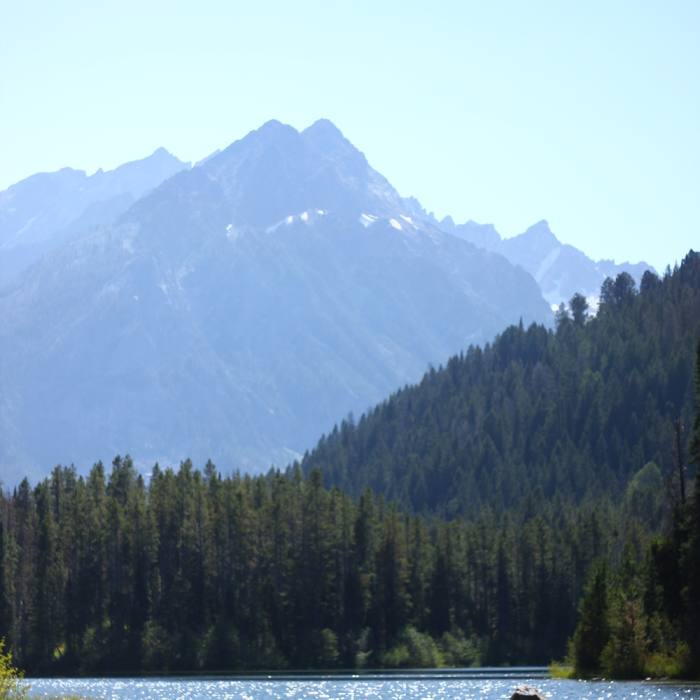 Near Trapper Lake Trail
