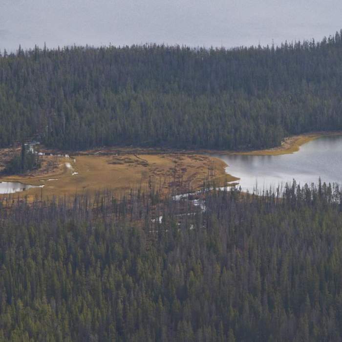 Near McDonald Lake to Mays Creek