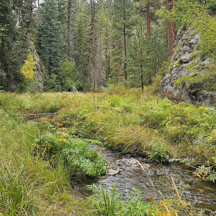 Near East Fork Trail #137