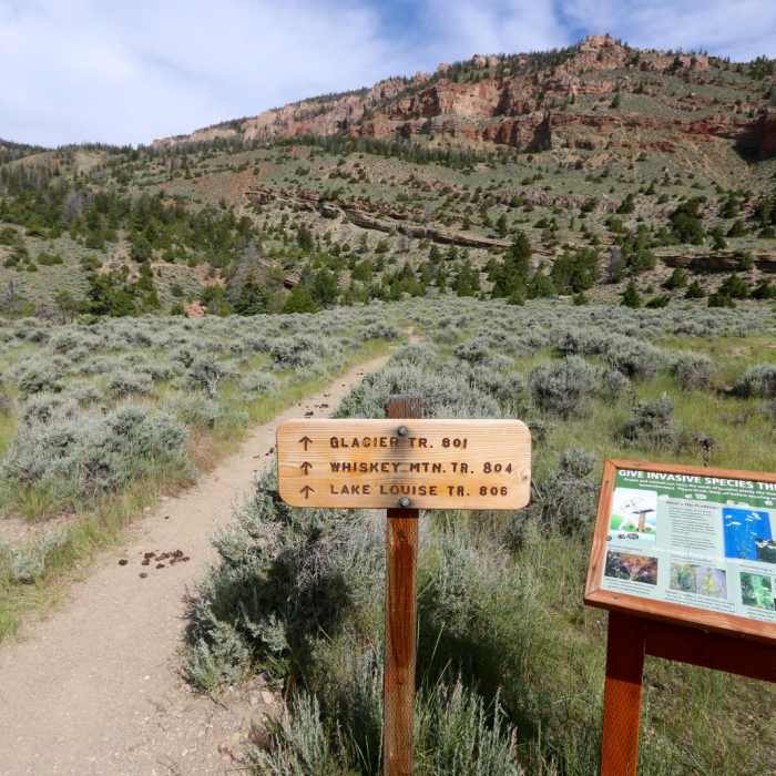 Near Lake Louise Out and Back