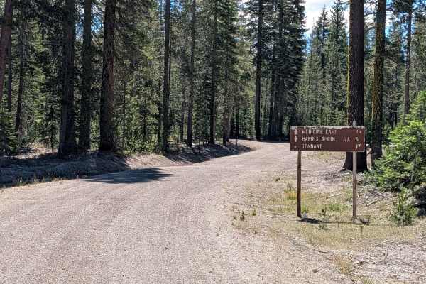 Lost Spring "Pigs Ear" East - FS 43N04