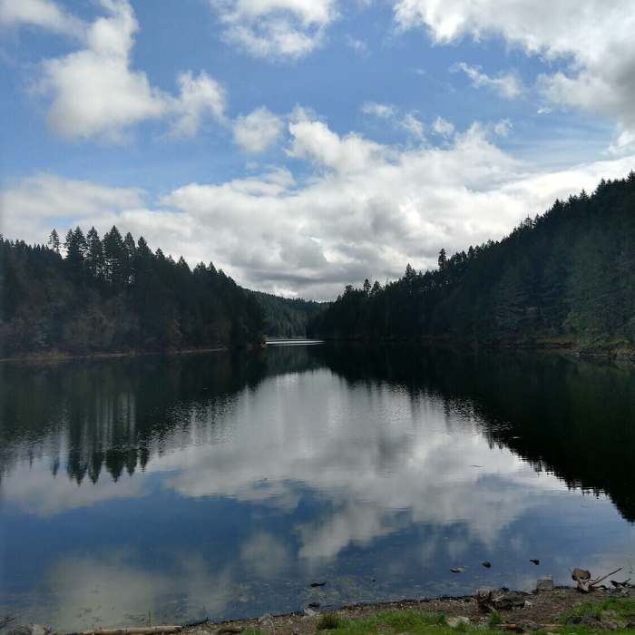 Near Cooper Creek Reservoir Trail