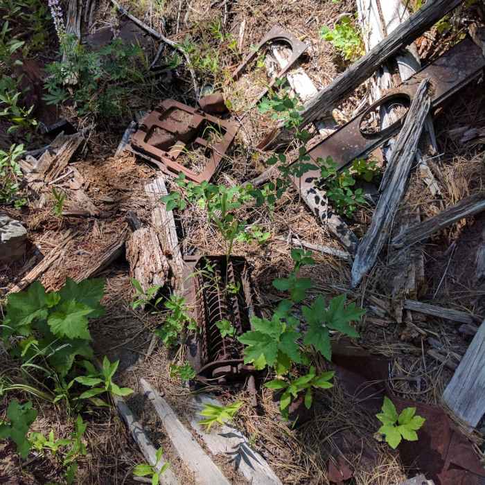 Near Ochoco Mountains Loop: Rock Creek to Black Canyon Wilderness