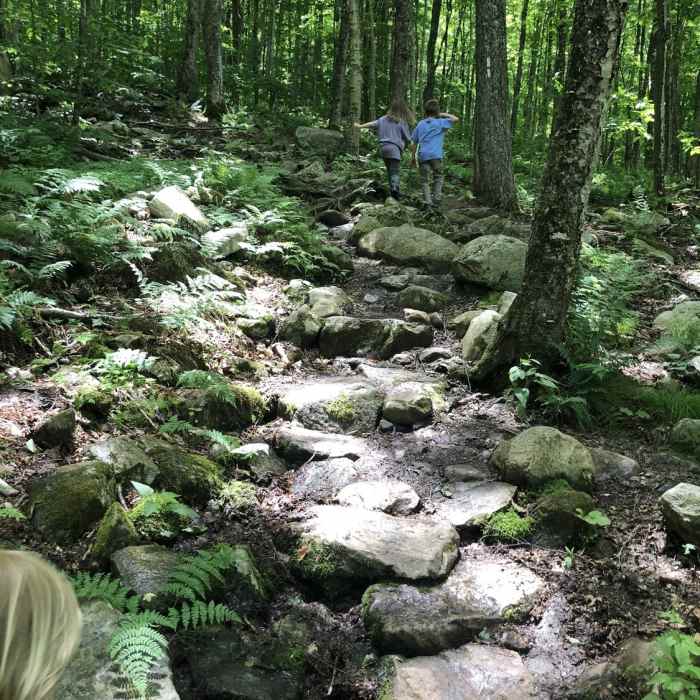 Appalachian Trail near Bennington, VT Near The Long Trail (Division 2)
