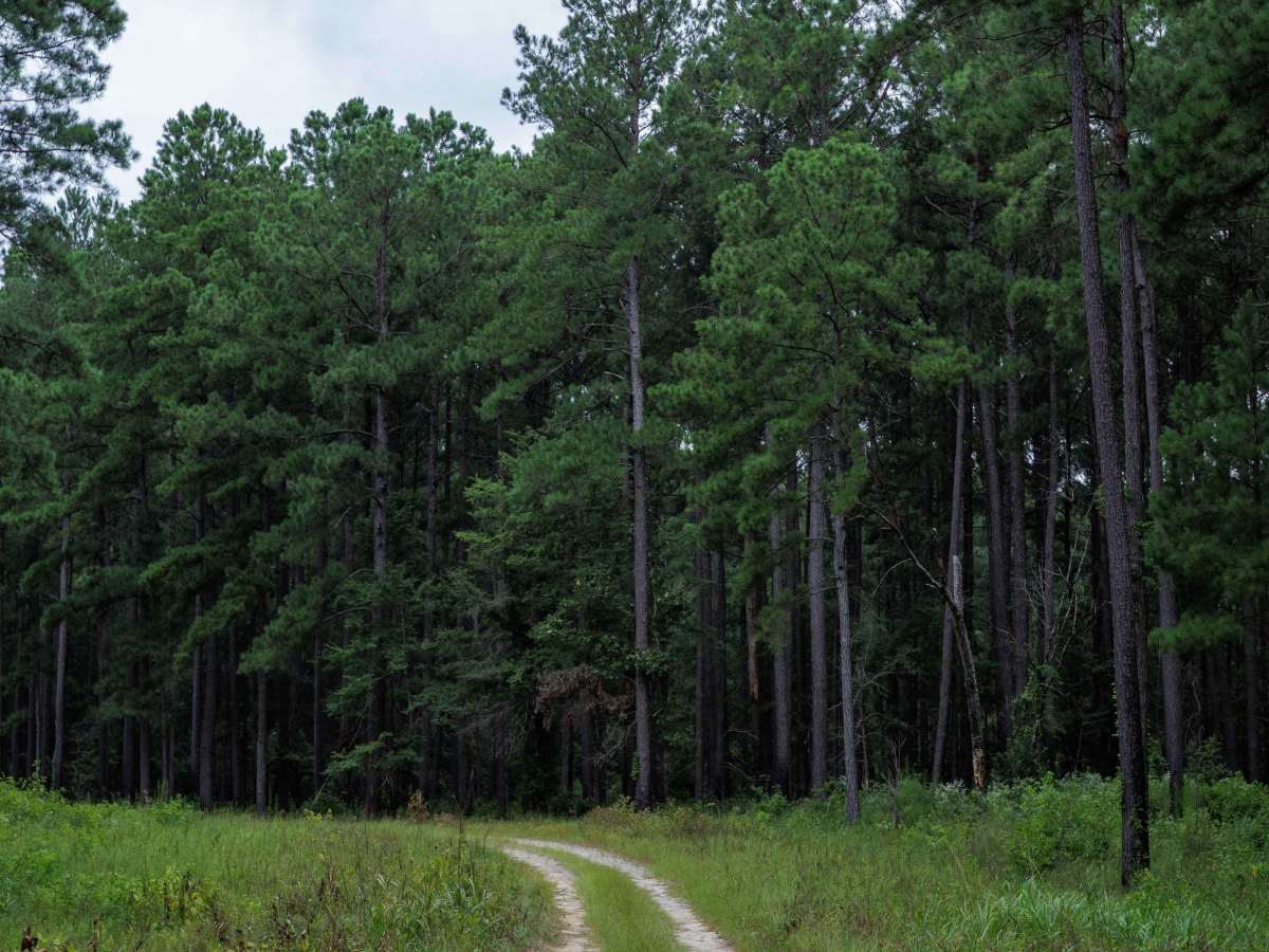 Clay Hill photo 3