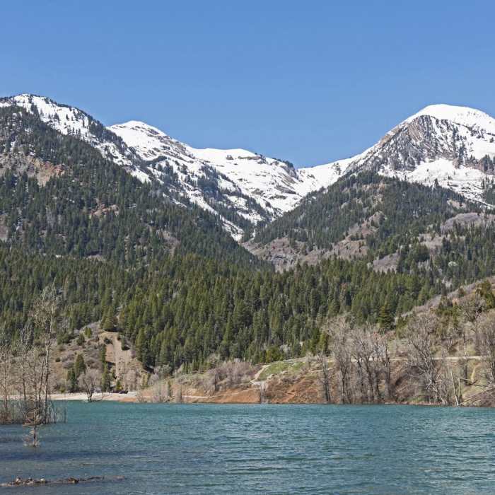 Near Tibble Fork Loop