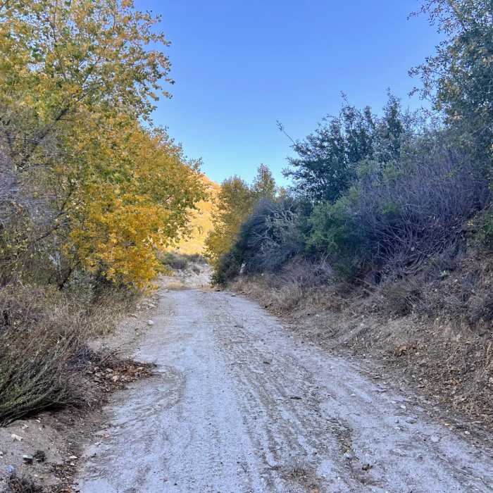 Near Indian Canyon Loop