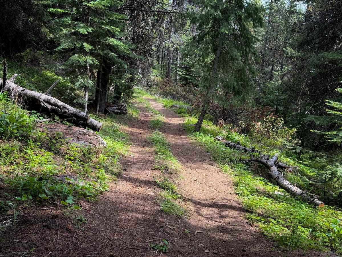 Upside - Trail 490  photo 6