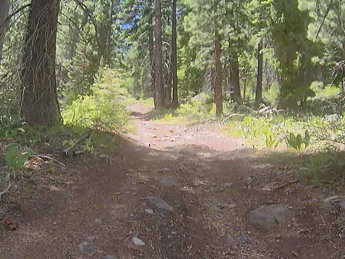 Highway 88 Trail - FS 21564 photo 2