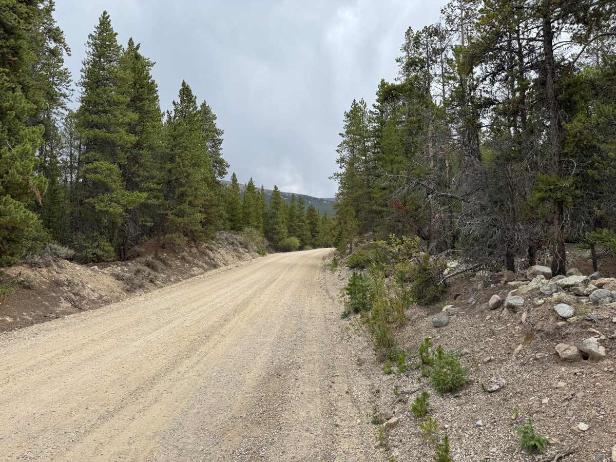 Lake County Road 3 trail photo