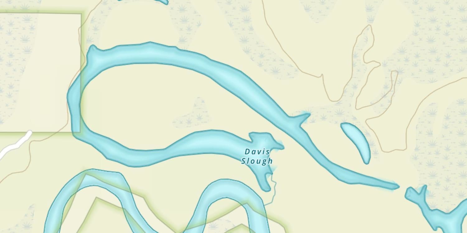 Davis Slough