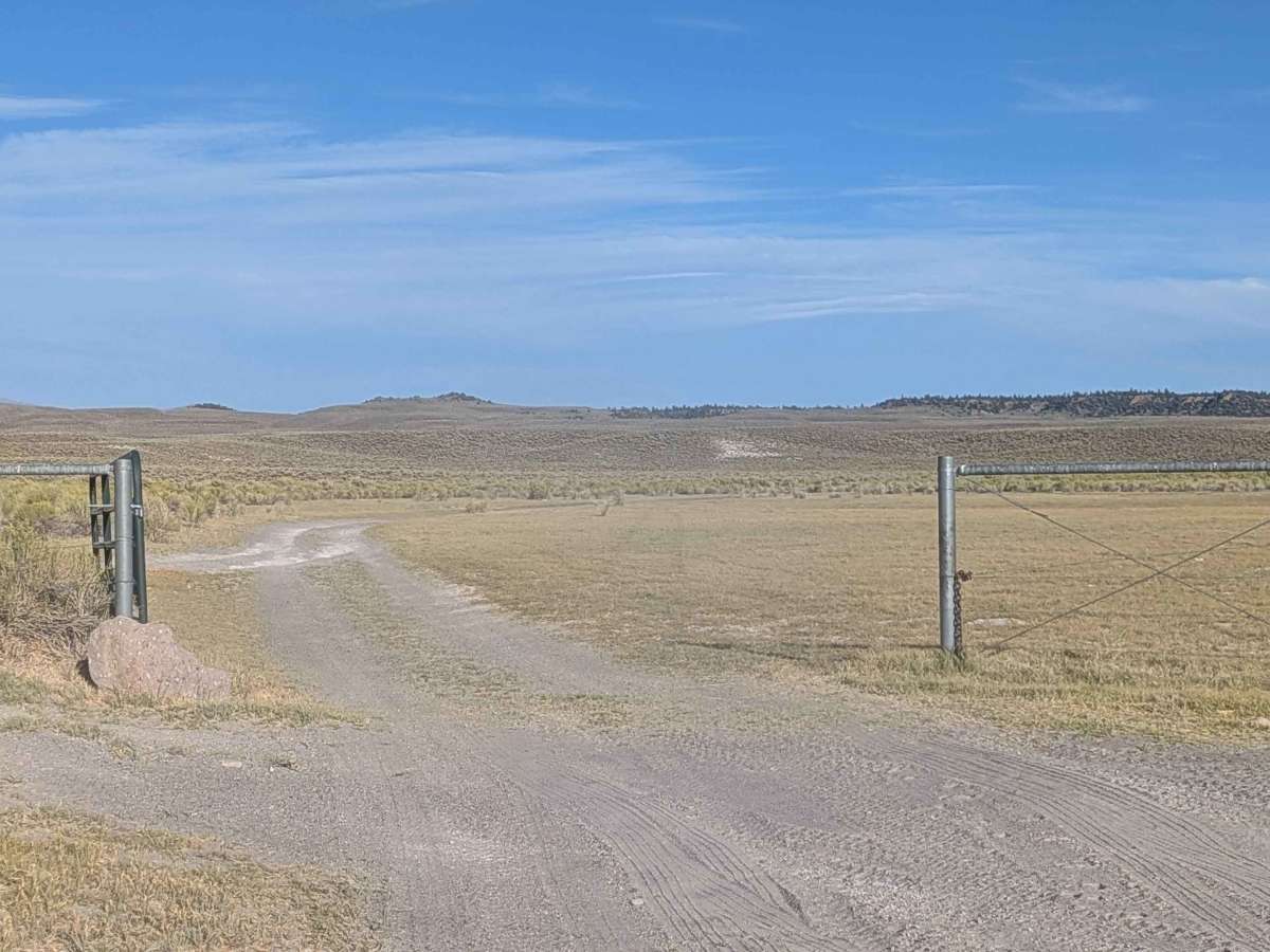 Lake Crowley Beach NE Run  trail photo