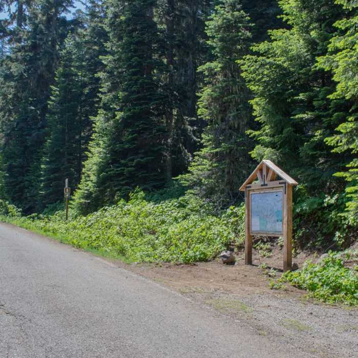 Near Horsepasture Mountain Trail