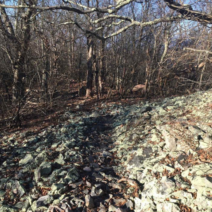 Near Furnace Mountain Trail