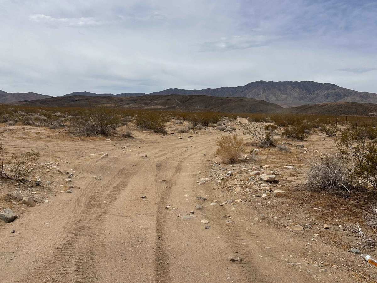 Buckhorn Trail photo 2