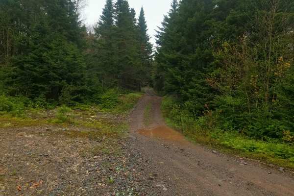 Farm Lake Trail