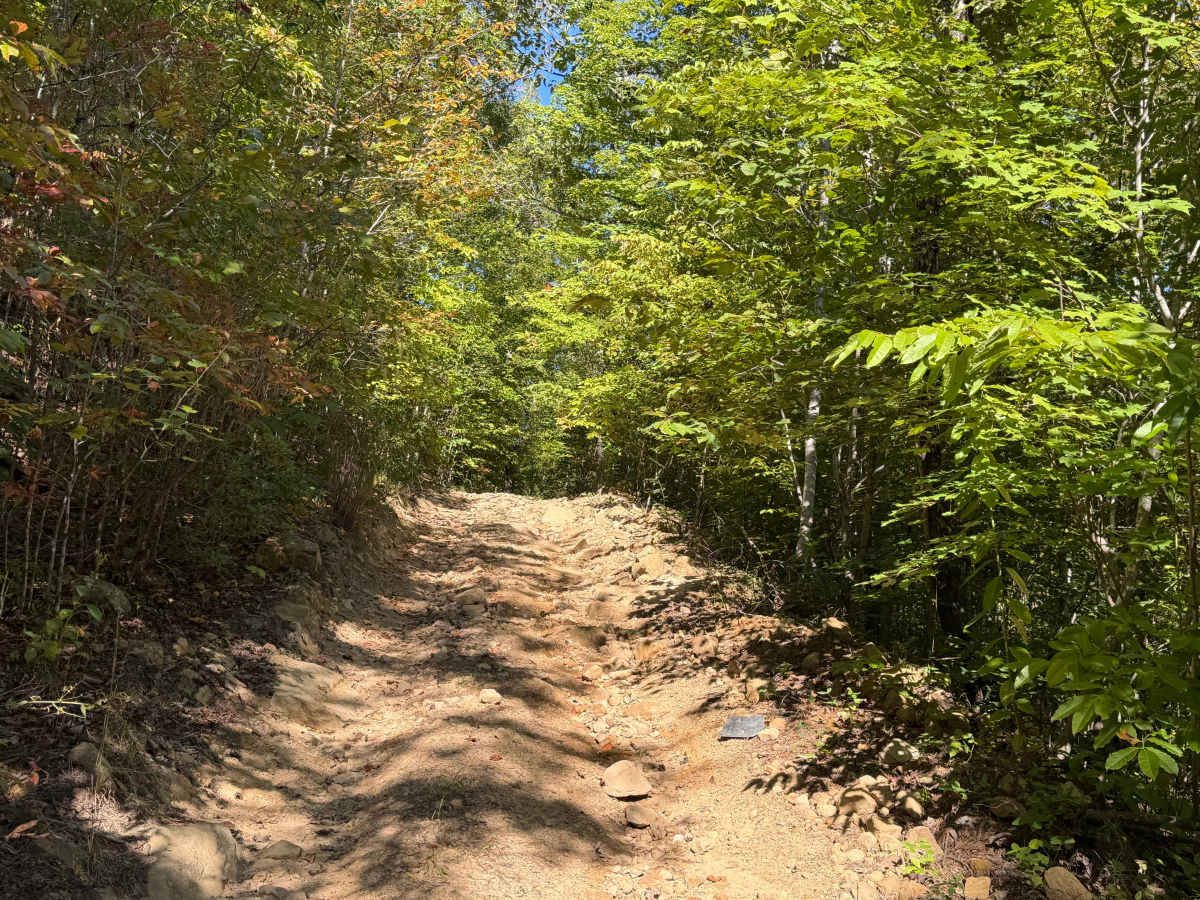 61 trail photo