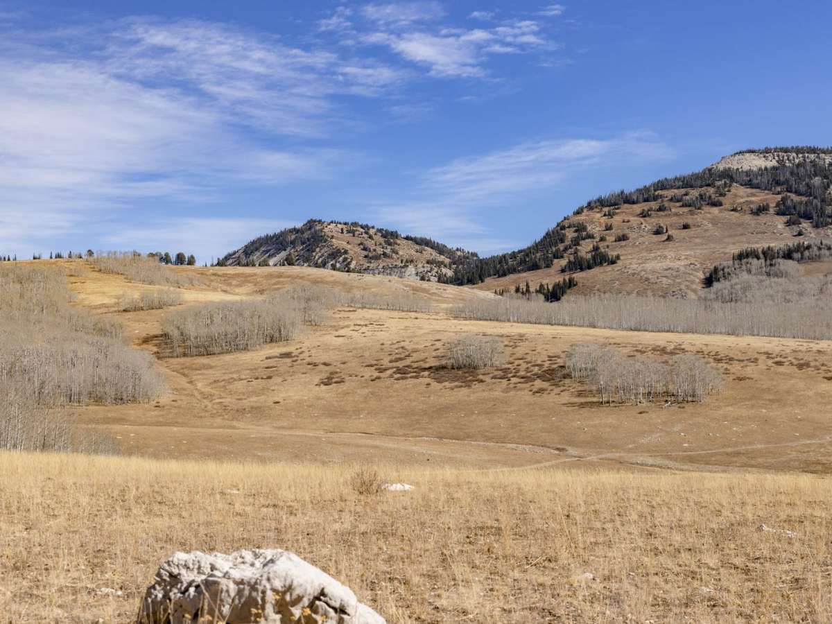 Salina Creek photo 4