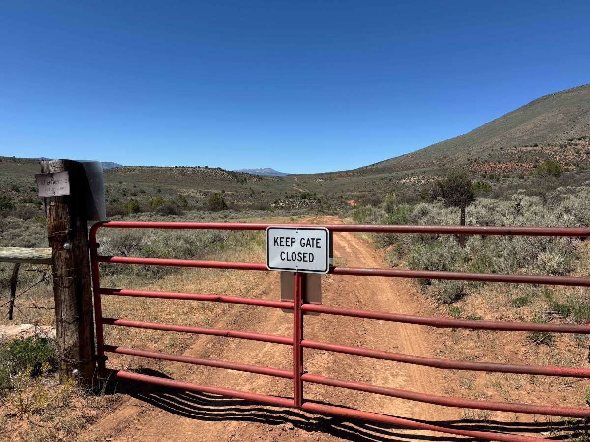 BLM 8487 photo 2