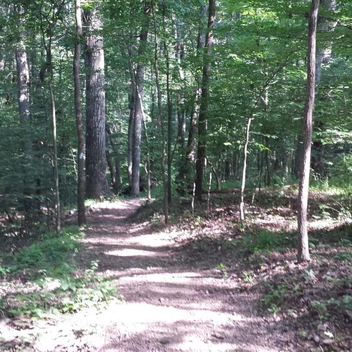 Near Osprey Heights Trail