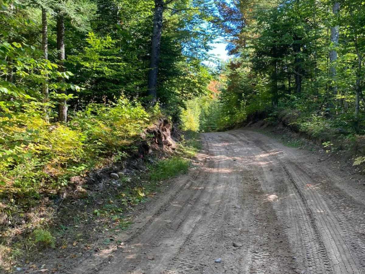 Candy Cane Lane - Trail 419 photo 3
