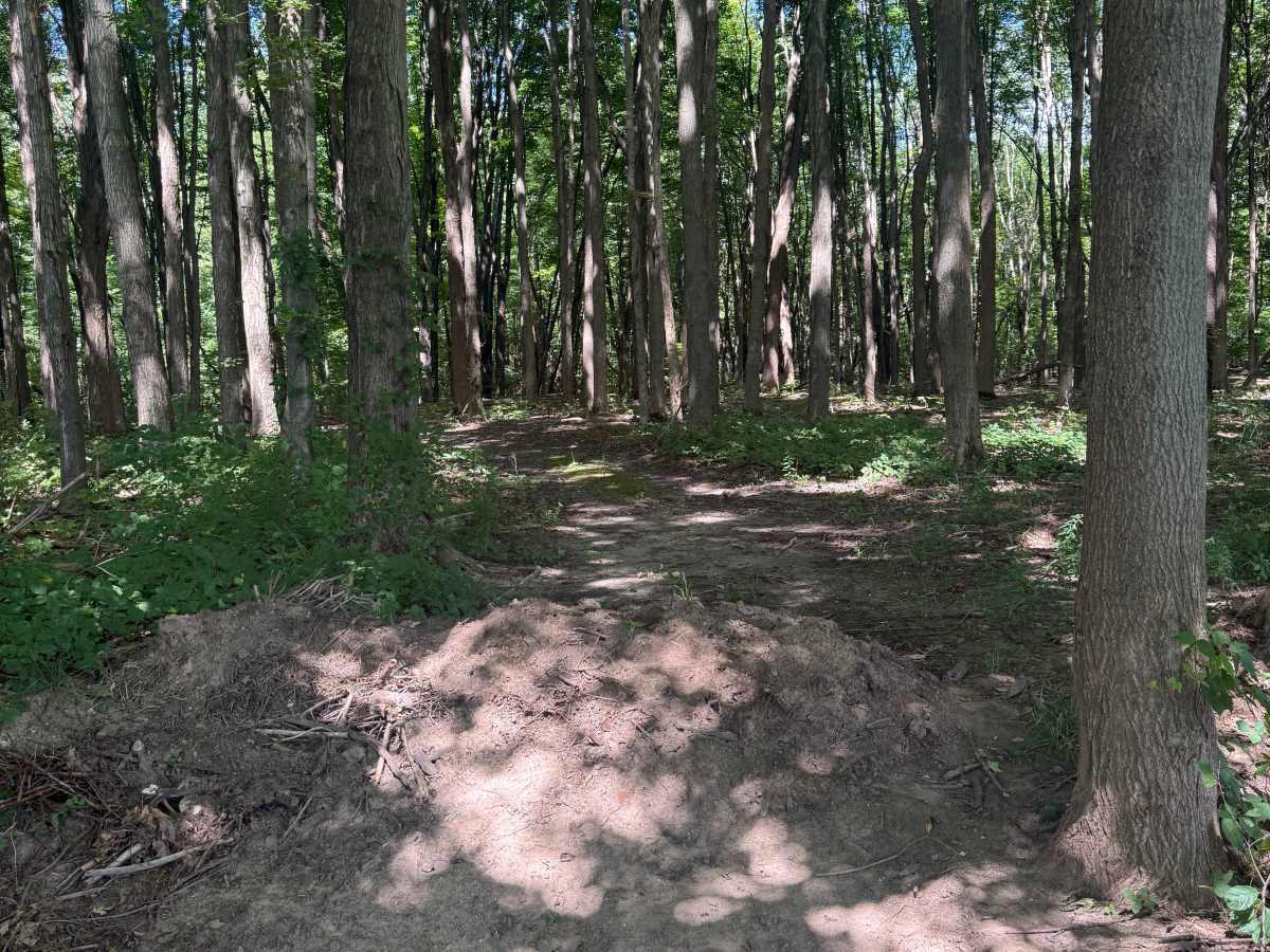 Glenn West Trail photo 4