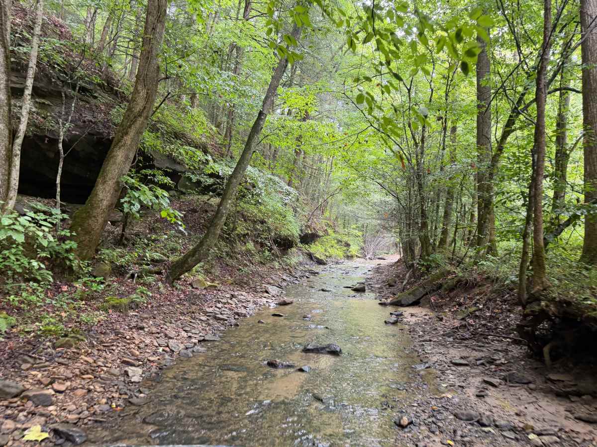 Little Buckhorn Waterfall Trail photo 3