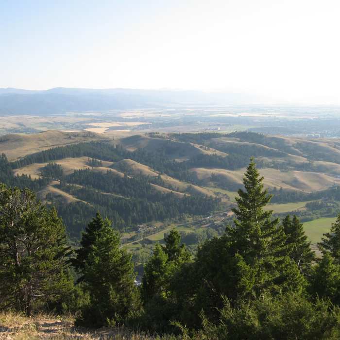 Above the "M" Trail descending off the Bridger Ridge. Near Bridger Ridge Traverse 2.0 (M to Corbly)