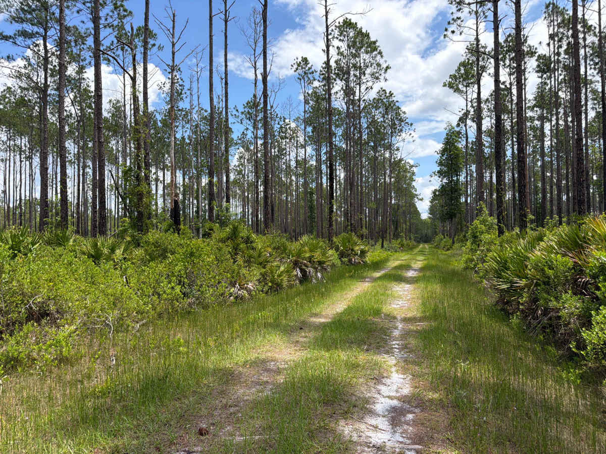 Big Pond Road photo 3