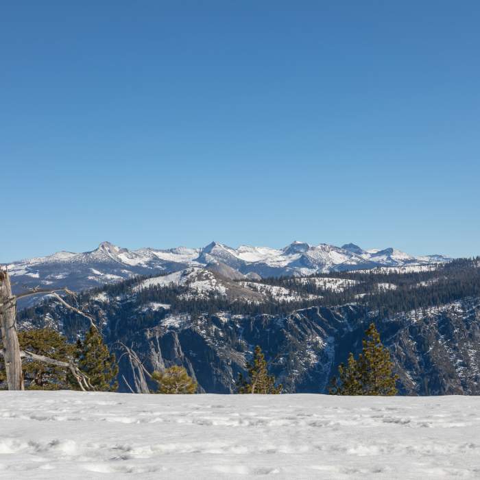 Near El Capitan Trail