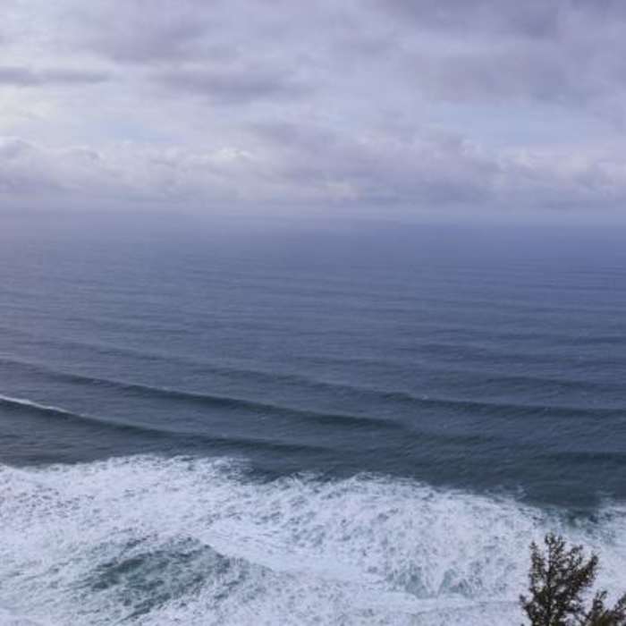 Near Oregon Coast Trail Section 5