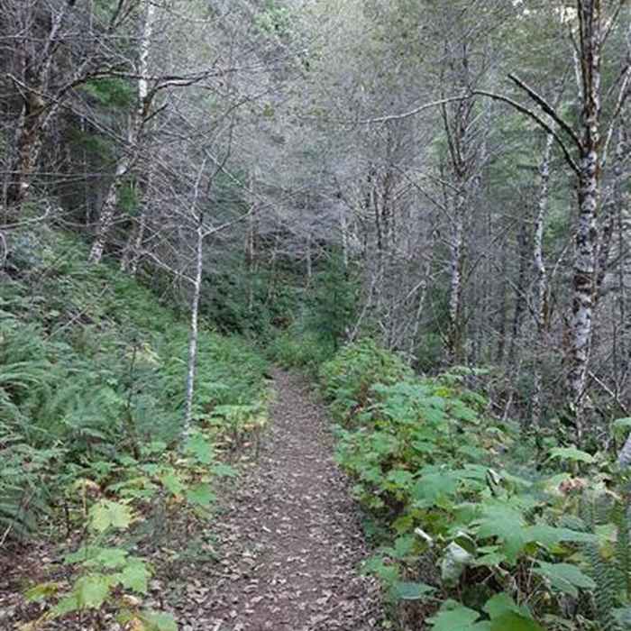 Near Elk Creek Trail