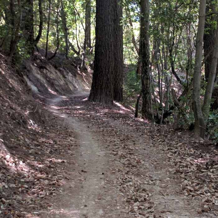 Near John Nicholas to Skyline Shuttle