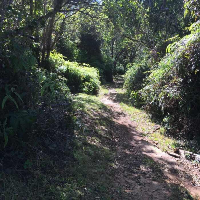 At the end of the trail. Near Kaluapuhi Trail Loop