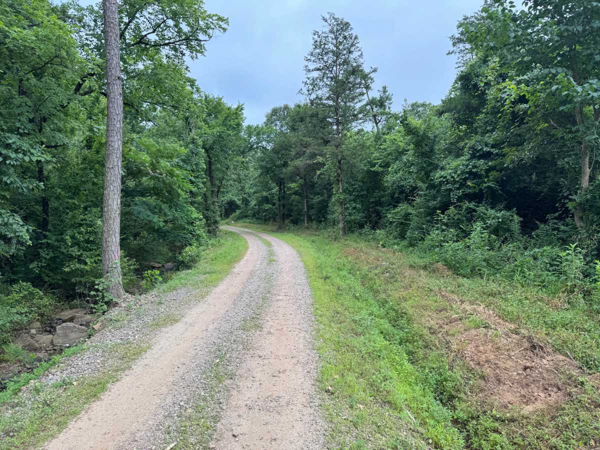 County Road 3161 trail photo