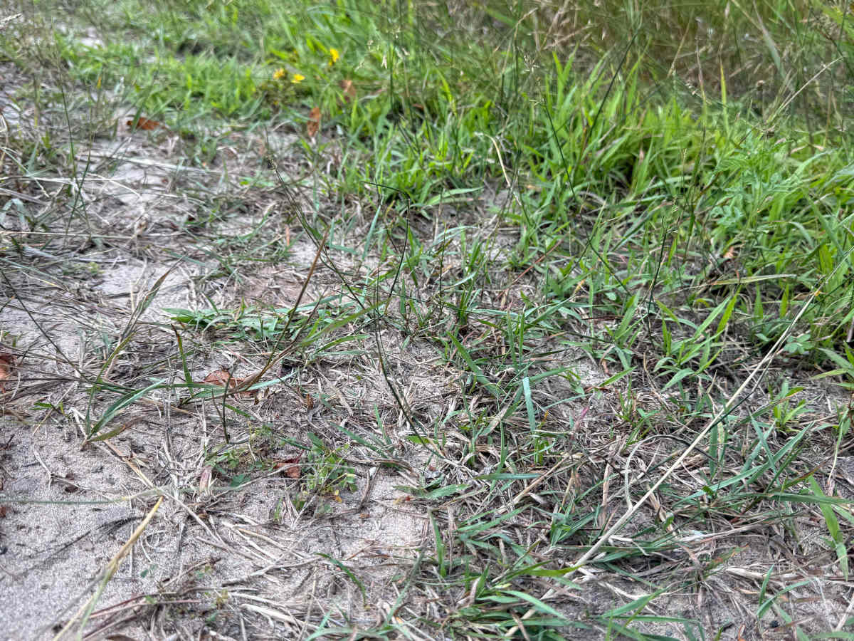 Cedar Road Loop Trail photo 2