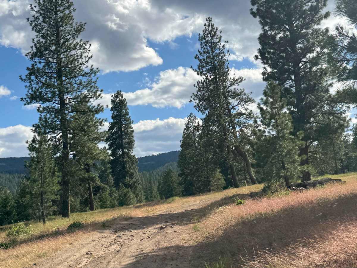 Mill Canyon Road photo 2