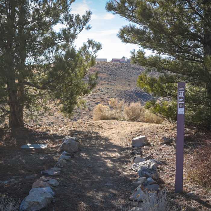 Near Las Brisas Loop