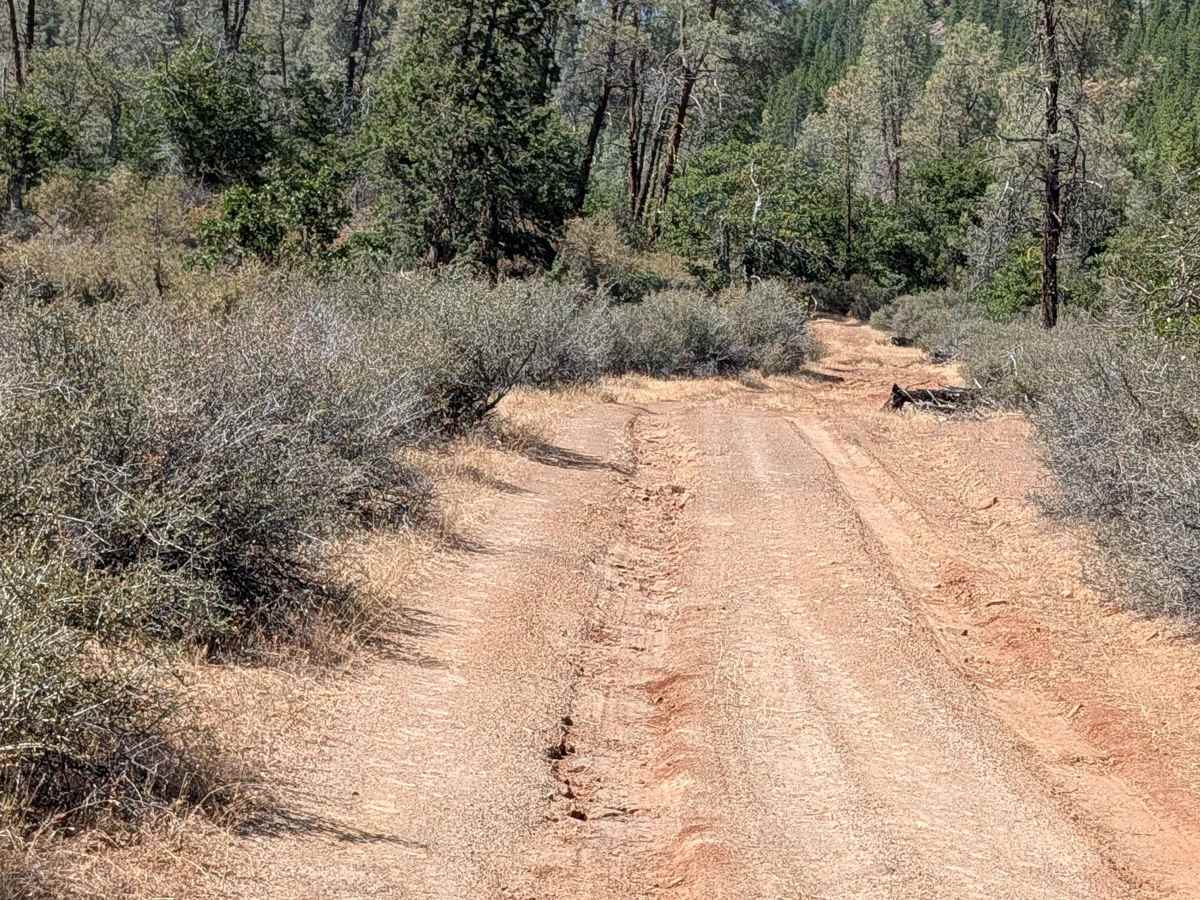 West Fort Mountain - FS 37N02Y photo 6