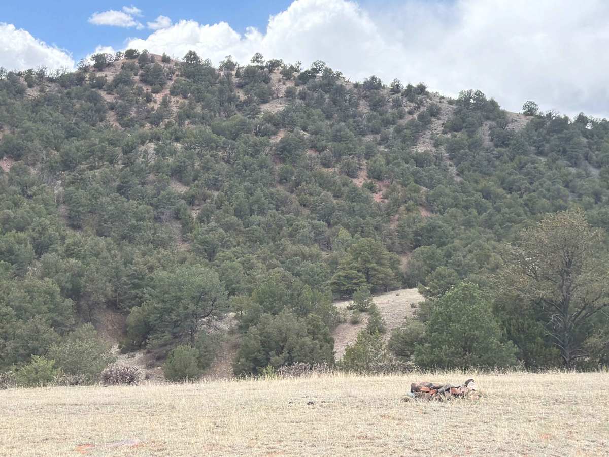 BLM 6021 photo 6