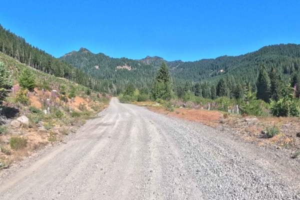 Parks Creek Road - FS 2067560 