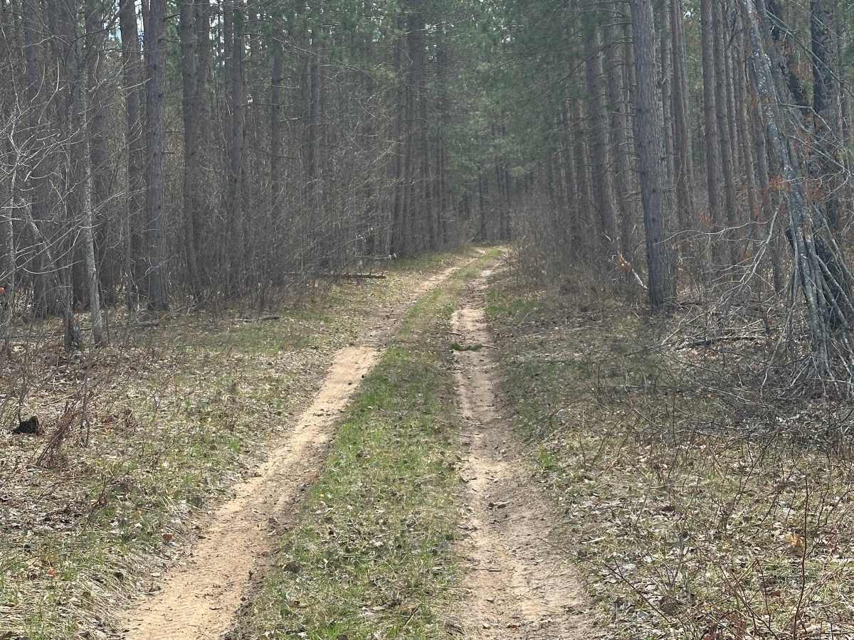 Frederic Route Cutover photo 2