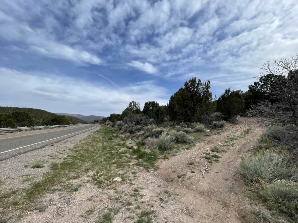 Twin Springs Ridge trail photo